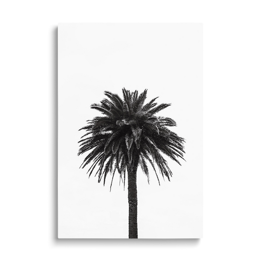 PALM