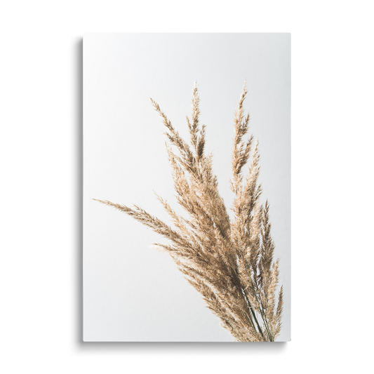 WHEAT 2