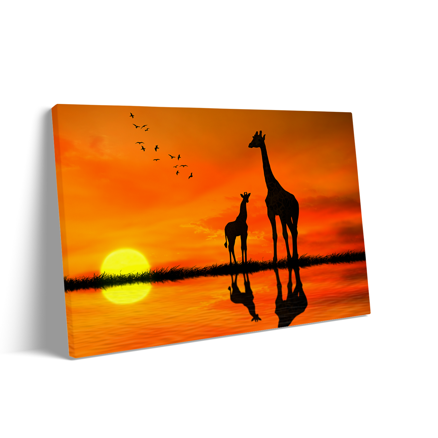 GIRAFFES
