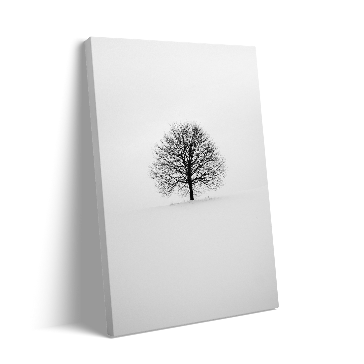 BLACK TREE