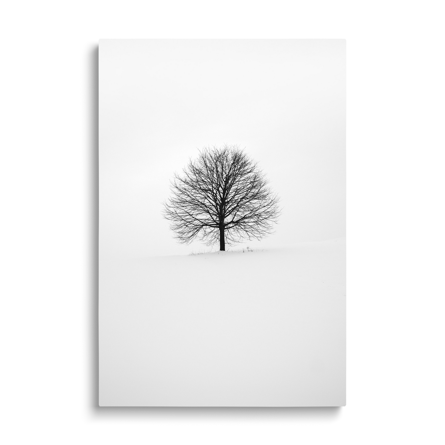 BLACK TREE