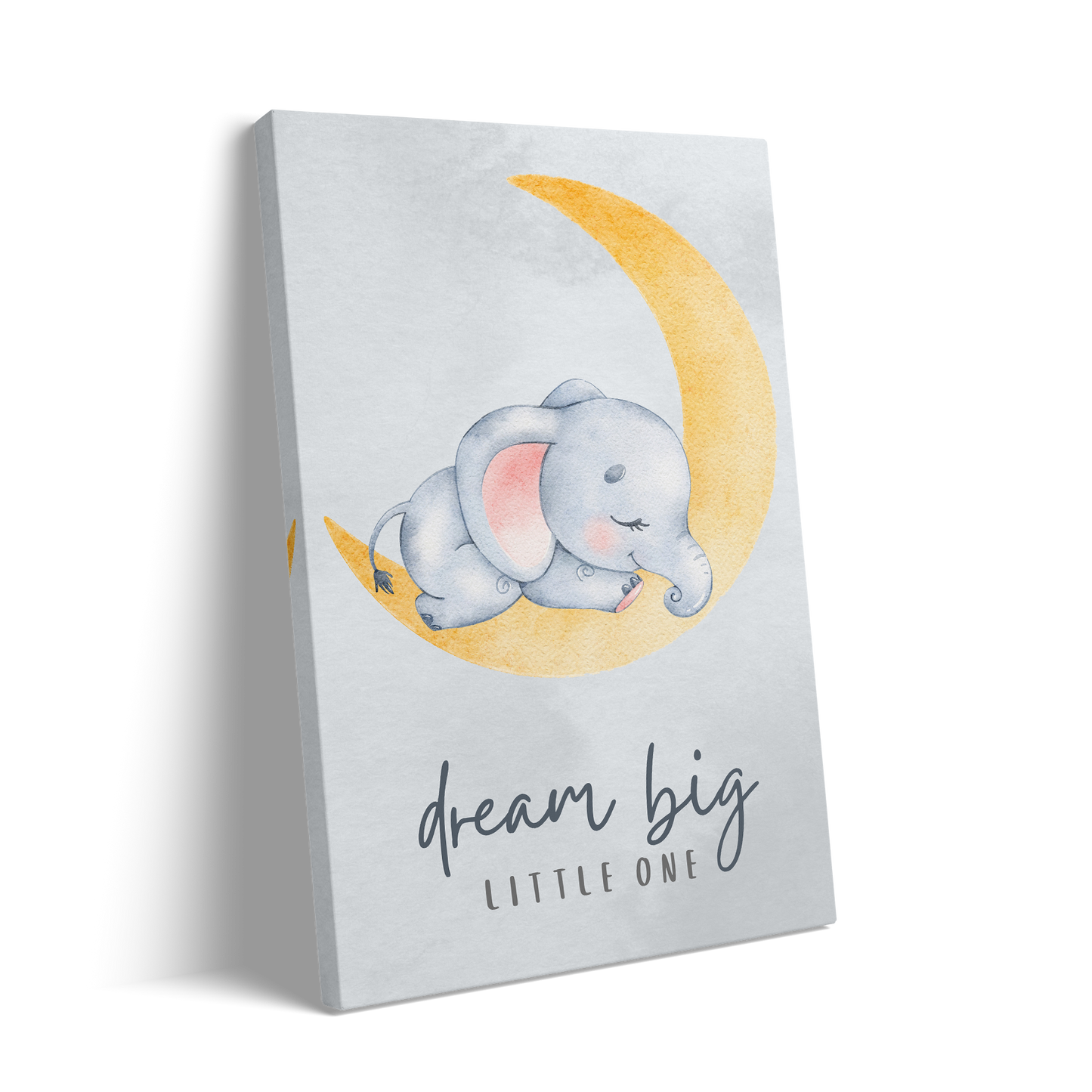 DREAM BIG 2