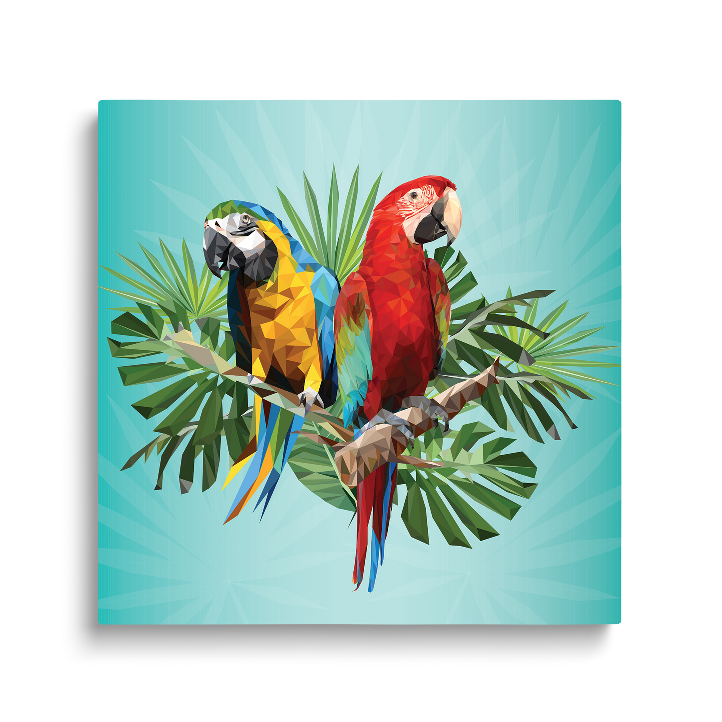 BIRDS