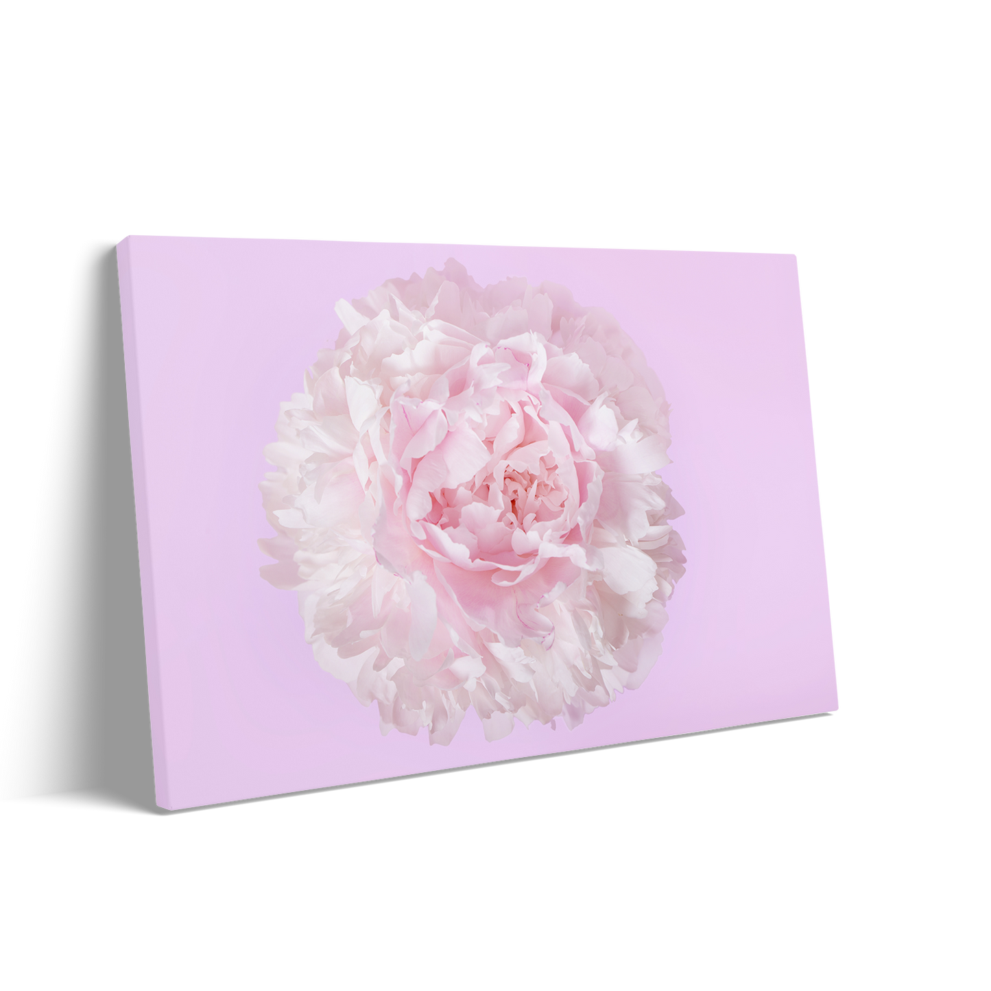 THE FLOWER