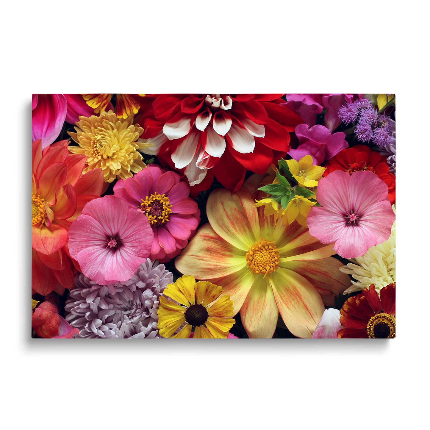 BRIGHT FLOWERS