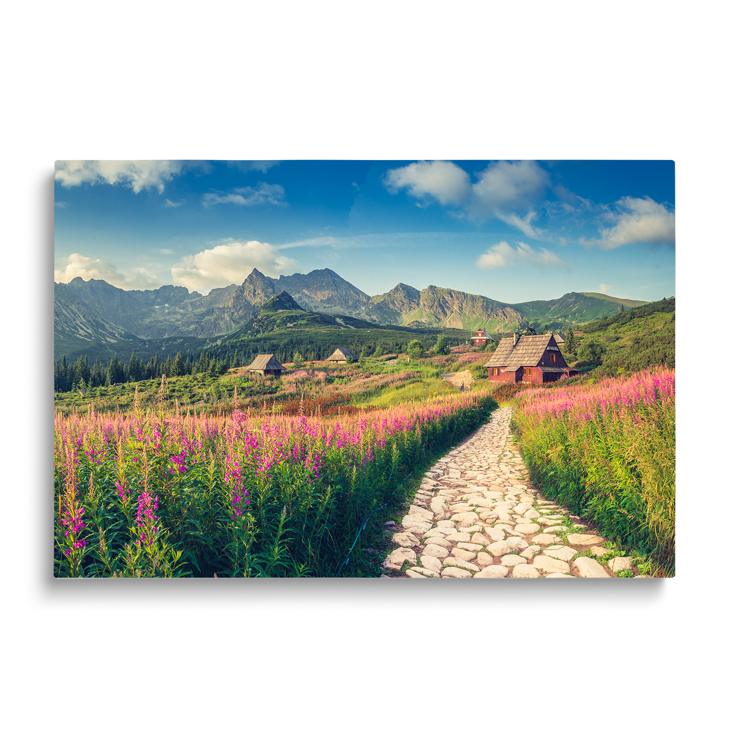 MOUNTAIN RANGE 2