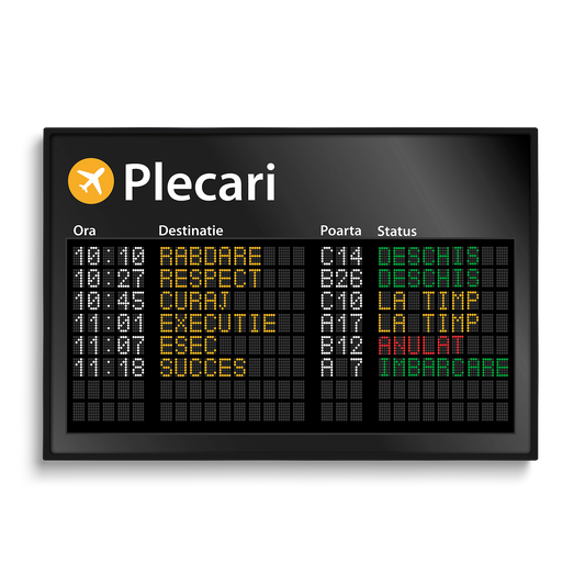 TABLOU MOTIVATIONAL PLECARI AEROPORT