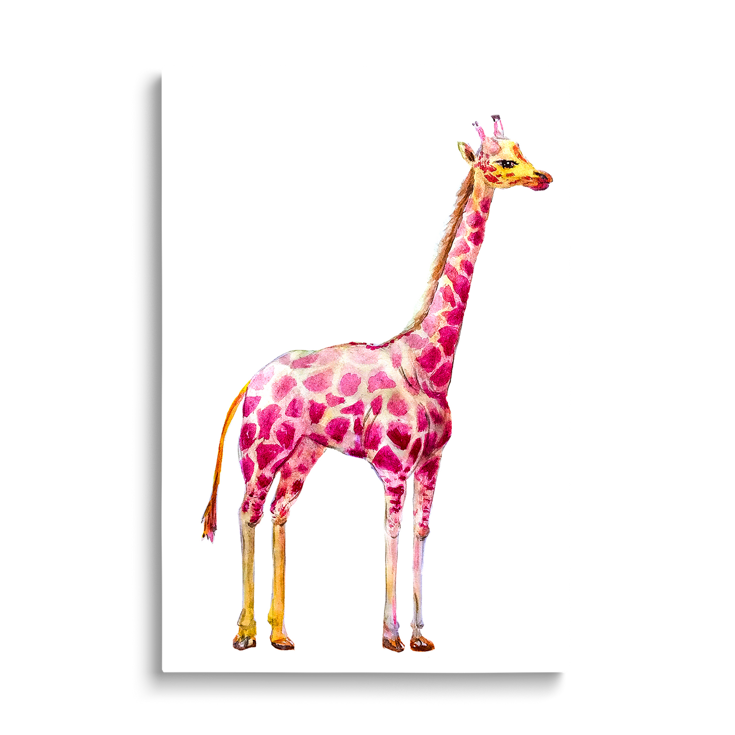 WATERCOLOR GIRAFFE