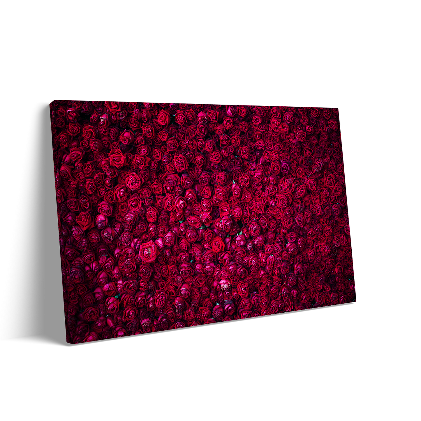 RED ROSES