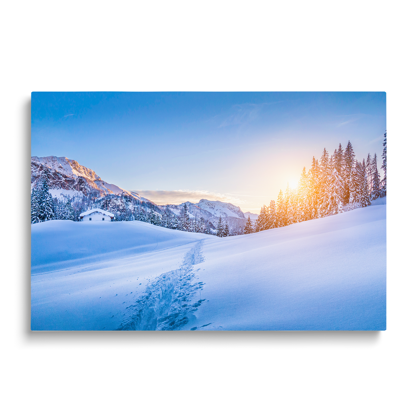 WINTER WONDERLAND