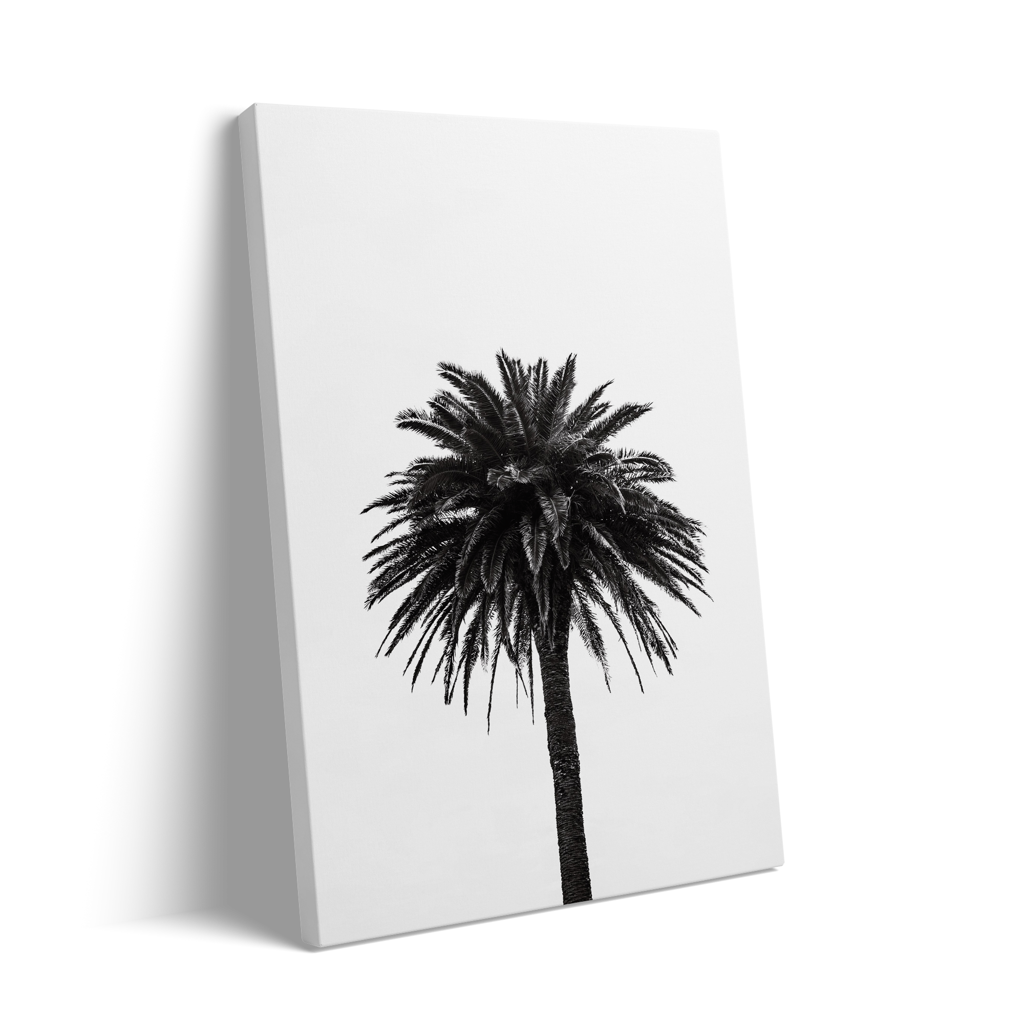 PALM