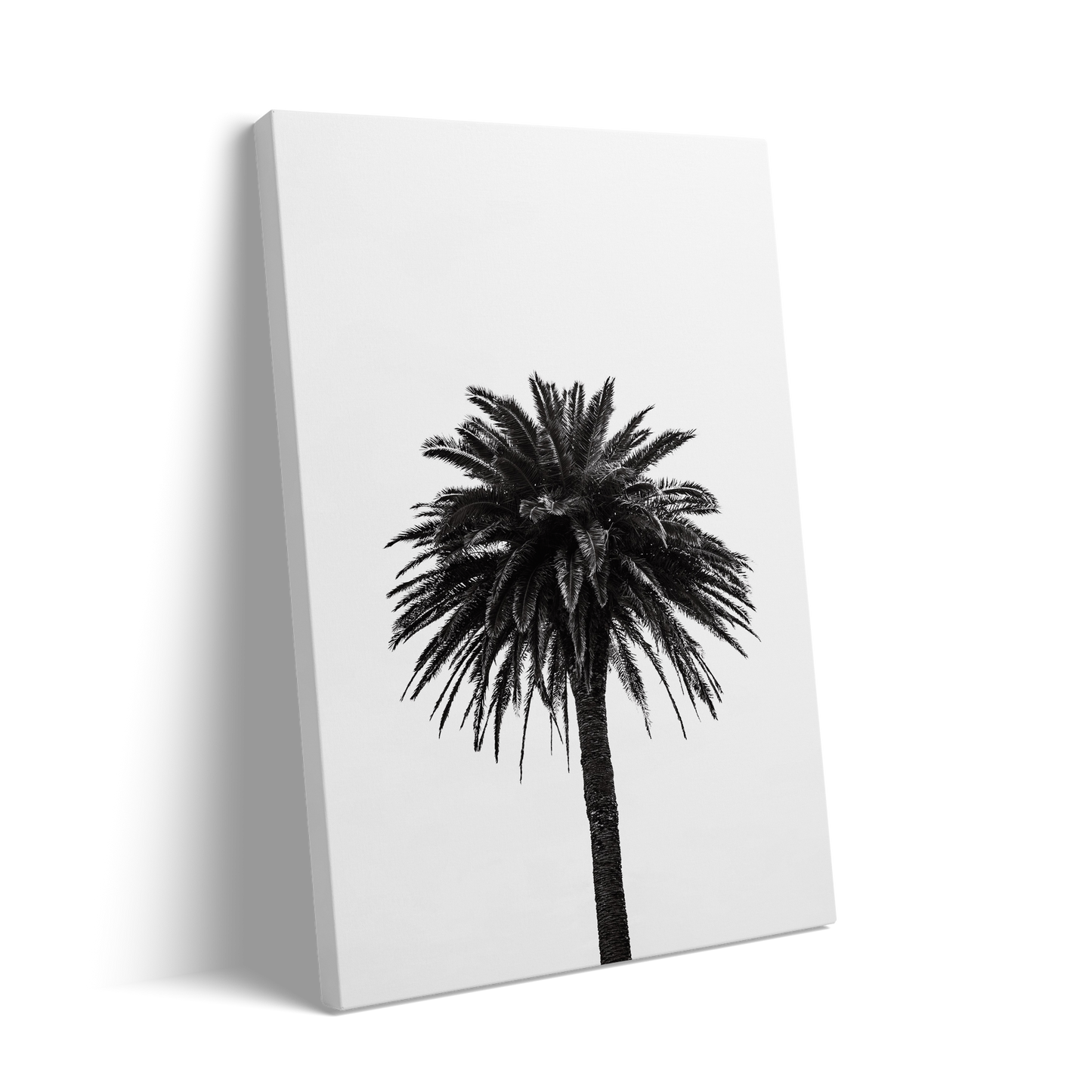 PALM