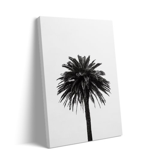 PALM