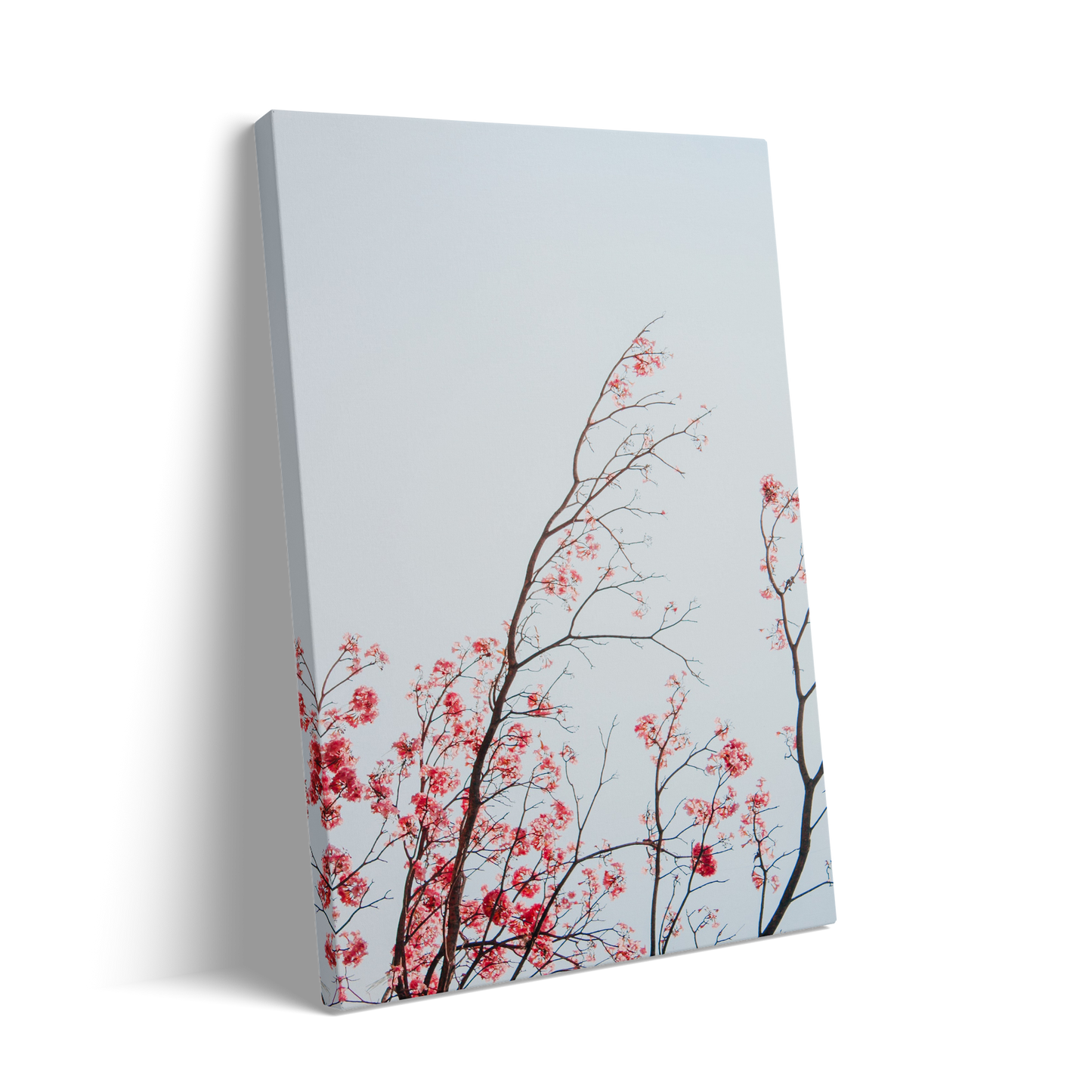 BRANCHES