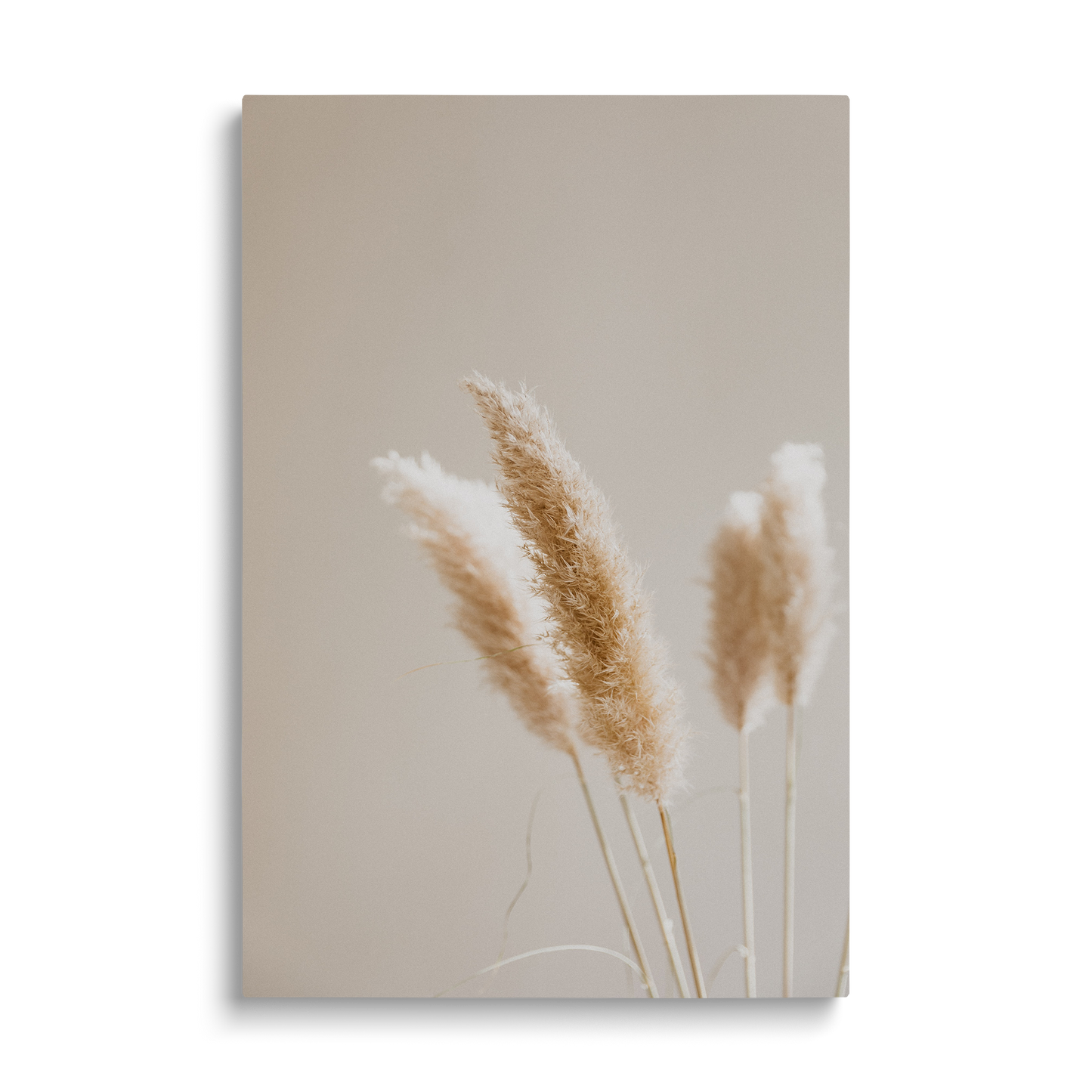 WHEAT