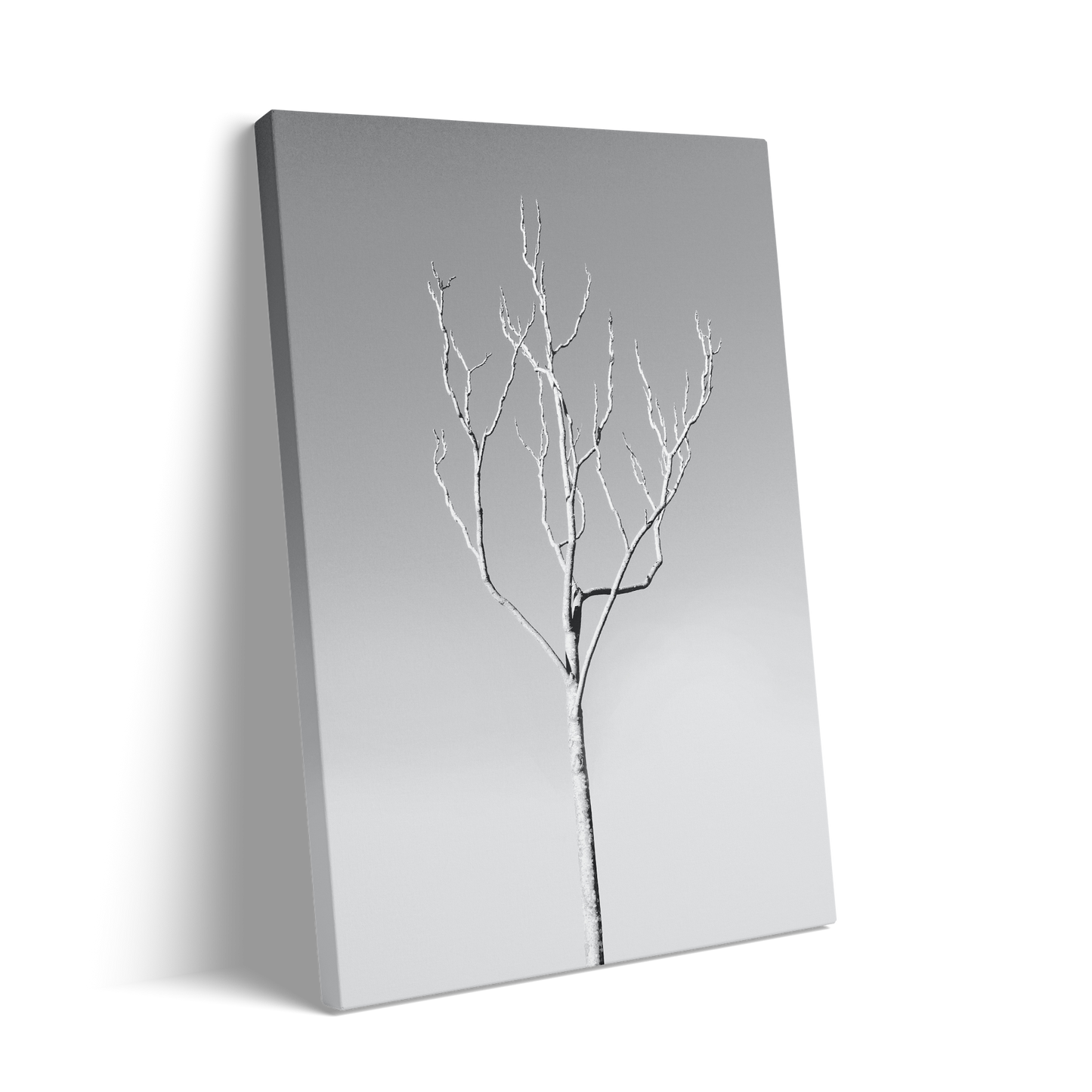 WHITE TREE