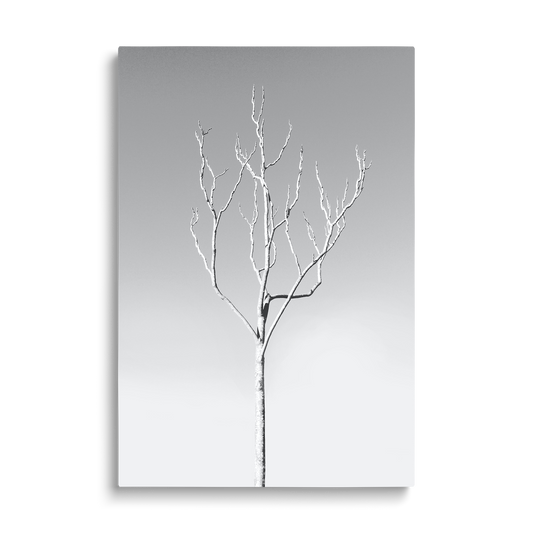 WHITE TREE