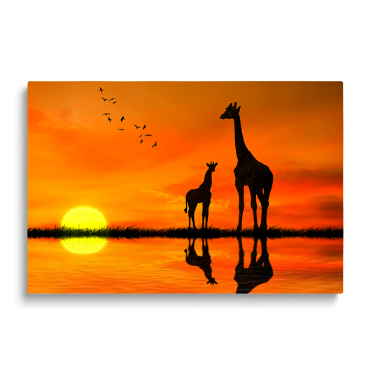 GIRAFFES