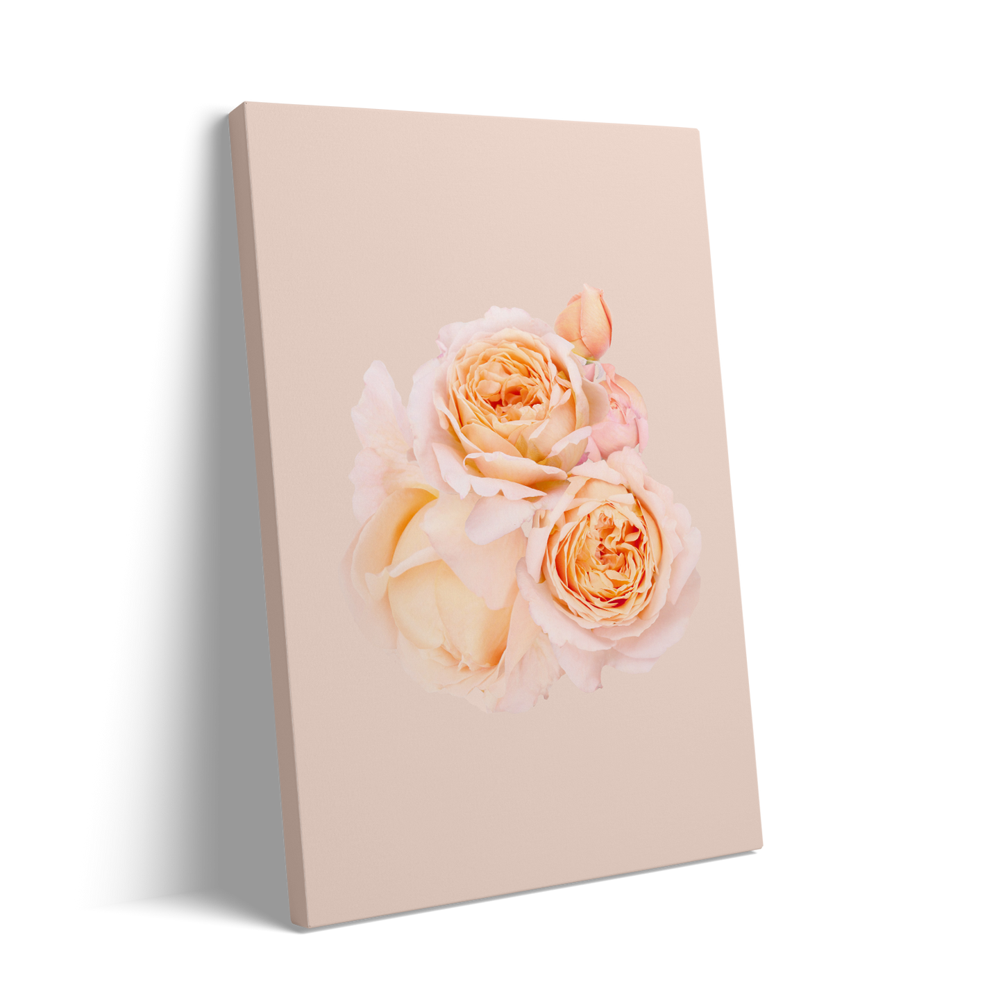 2 ROSES
