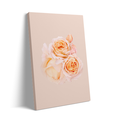2 ROSES