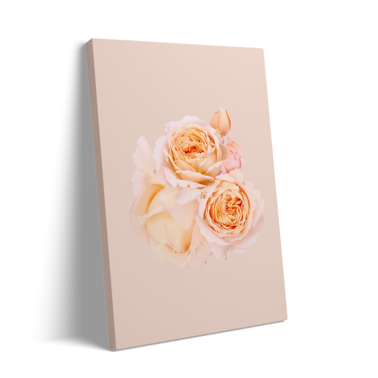 2 ROSES