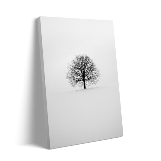 BLACK TREE