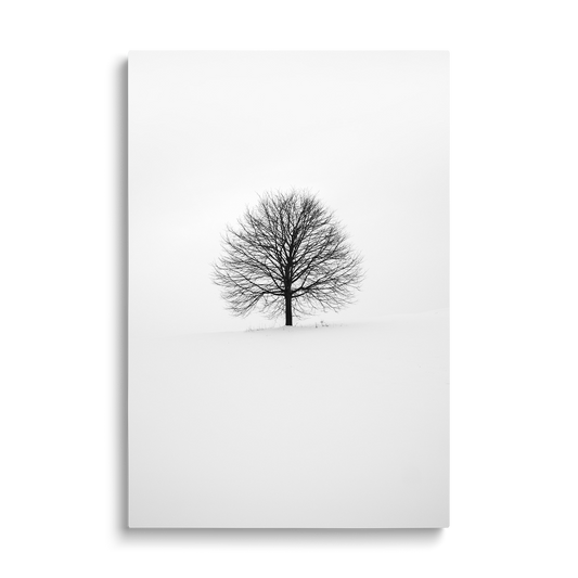 BLACK TREE