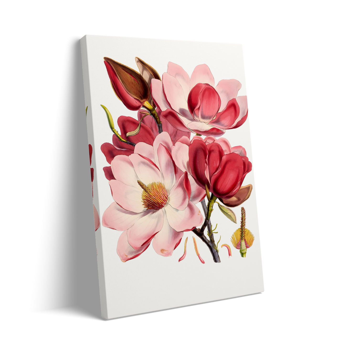 PINK FLOWERS