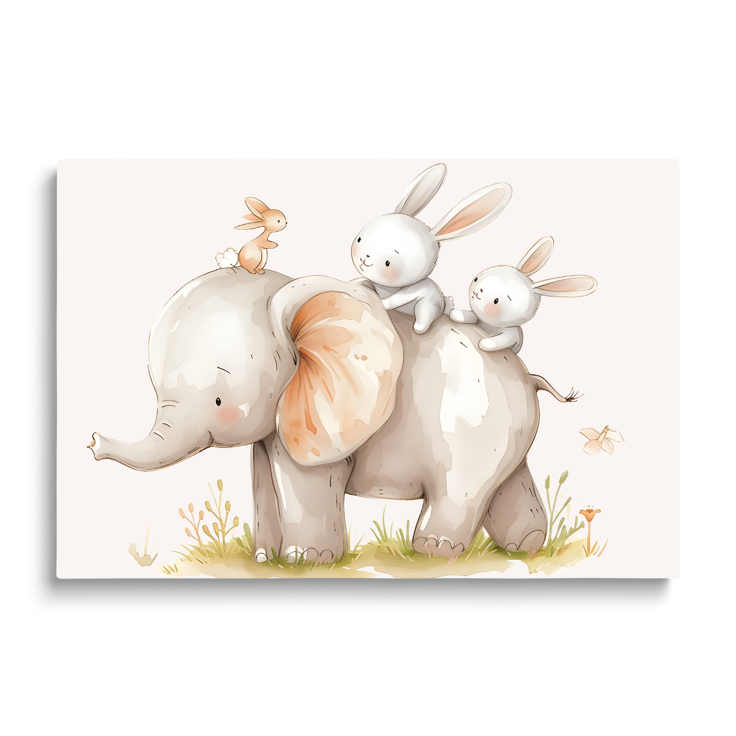 ELEPHANT MOUSE
