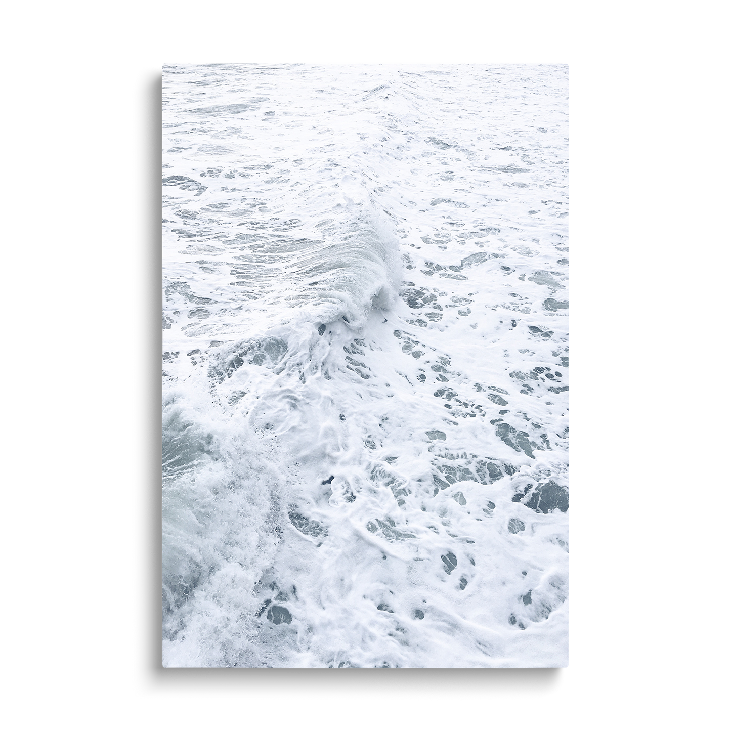 FOAM
