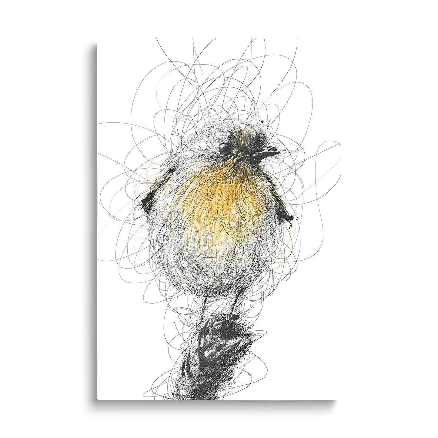 PENCIL BIRD
