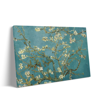 ALMOND BLOSSOM
