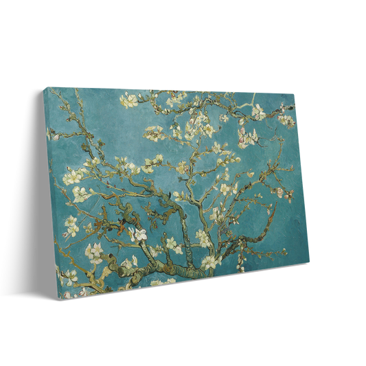 ALMOND BLOSSOM