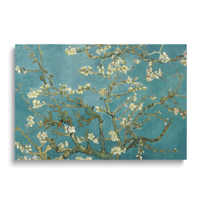 ALMOND BLOSSOM