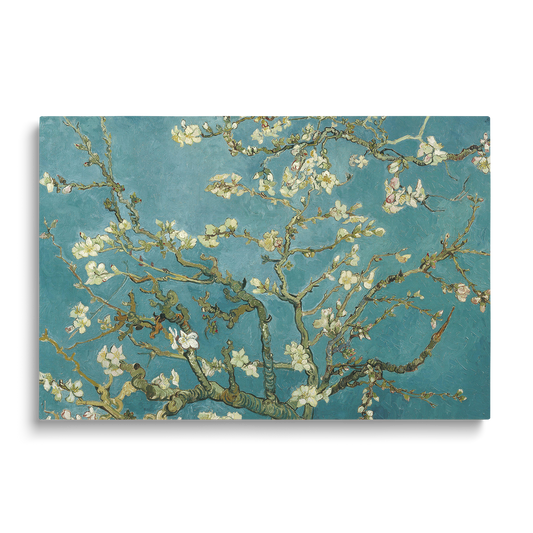 ALMOND BLOSSOM