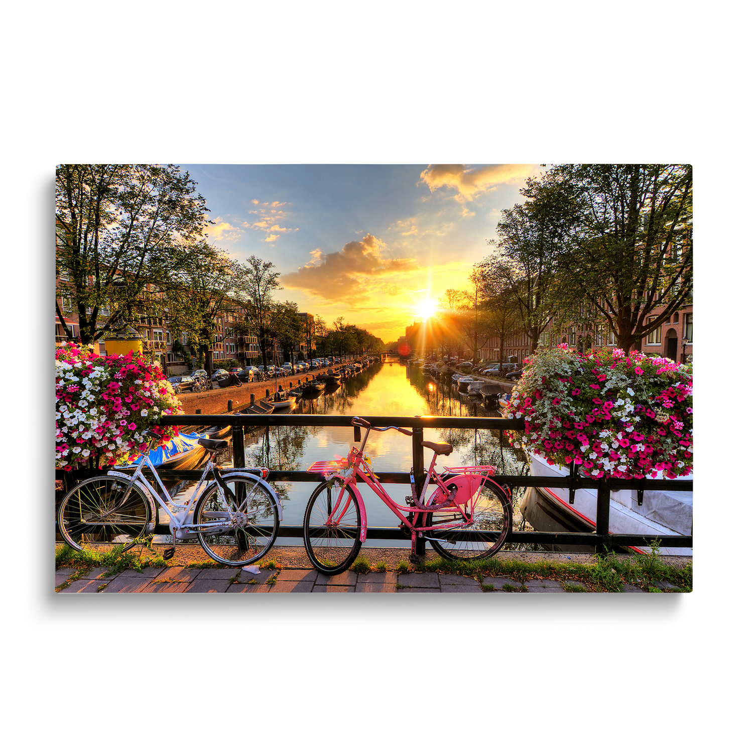AMSTERDAM IN SPRING