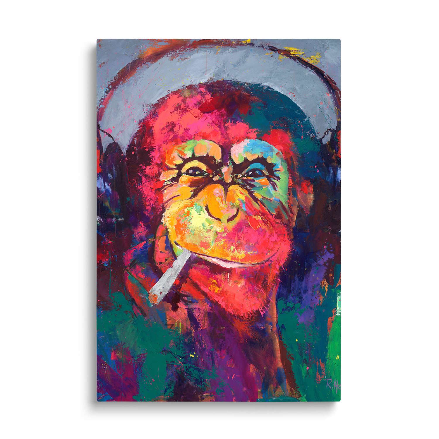COOL MONKEY
