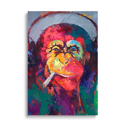 COOL MONKEY