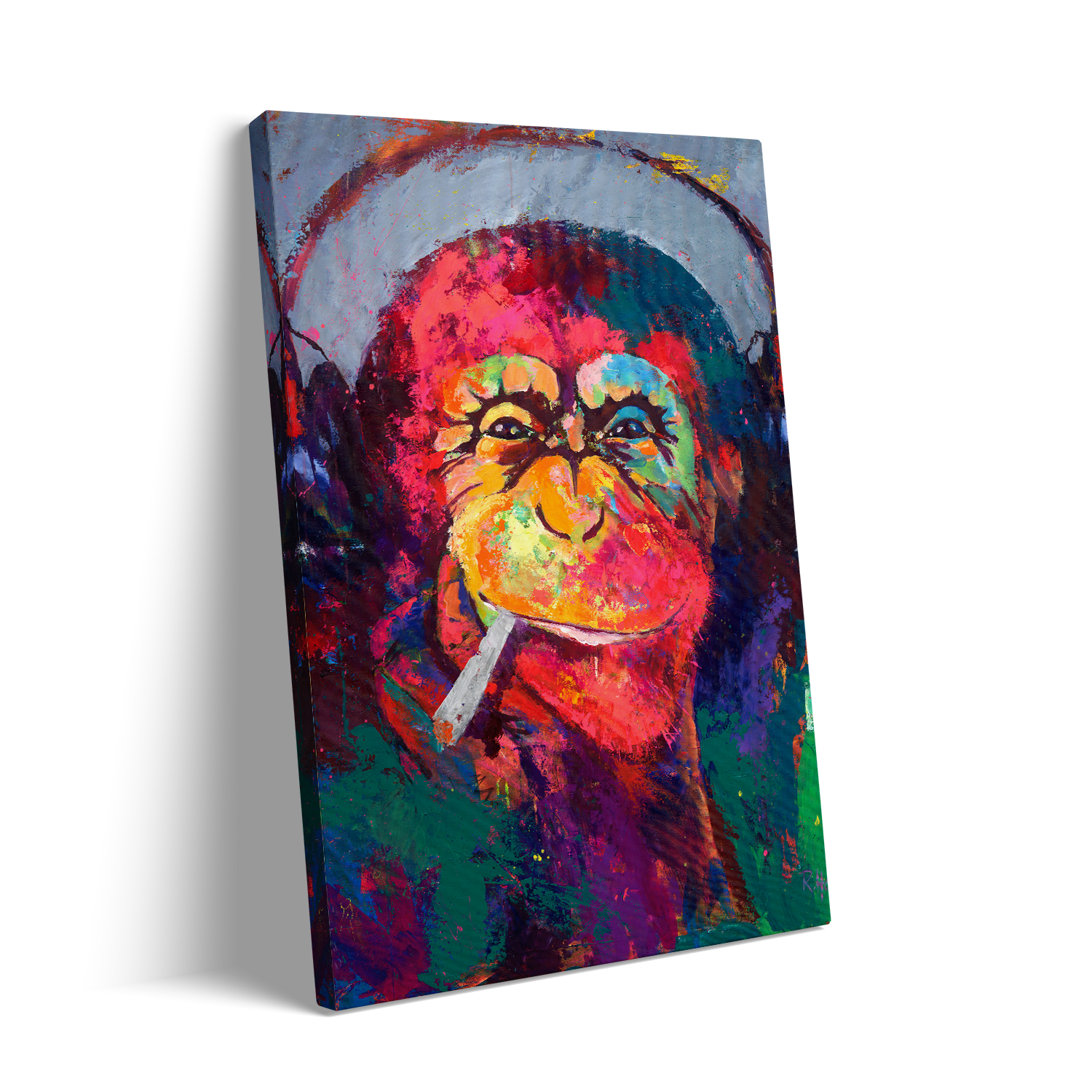 COOL MONKEY