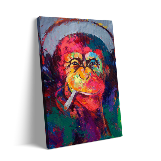 COOL MONKEY