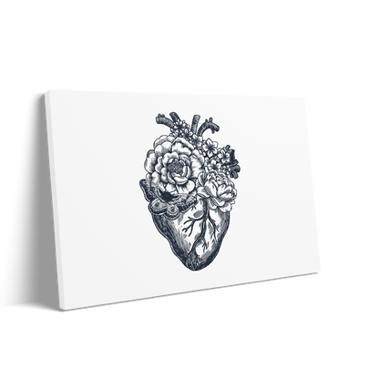 THE HEART