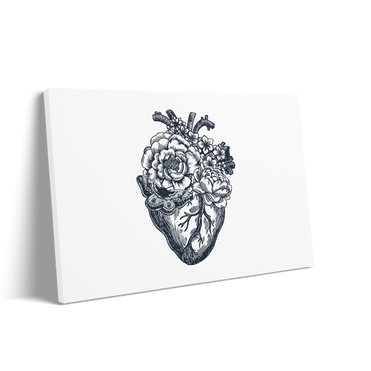 THE HEART