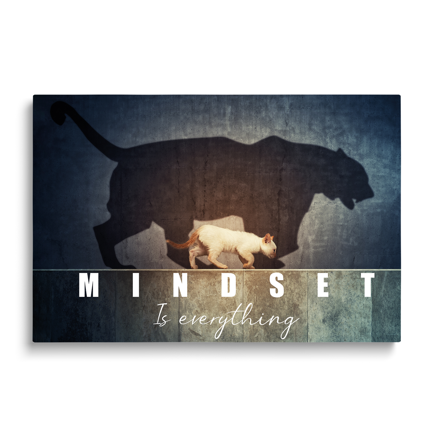 MINDSET CAT