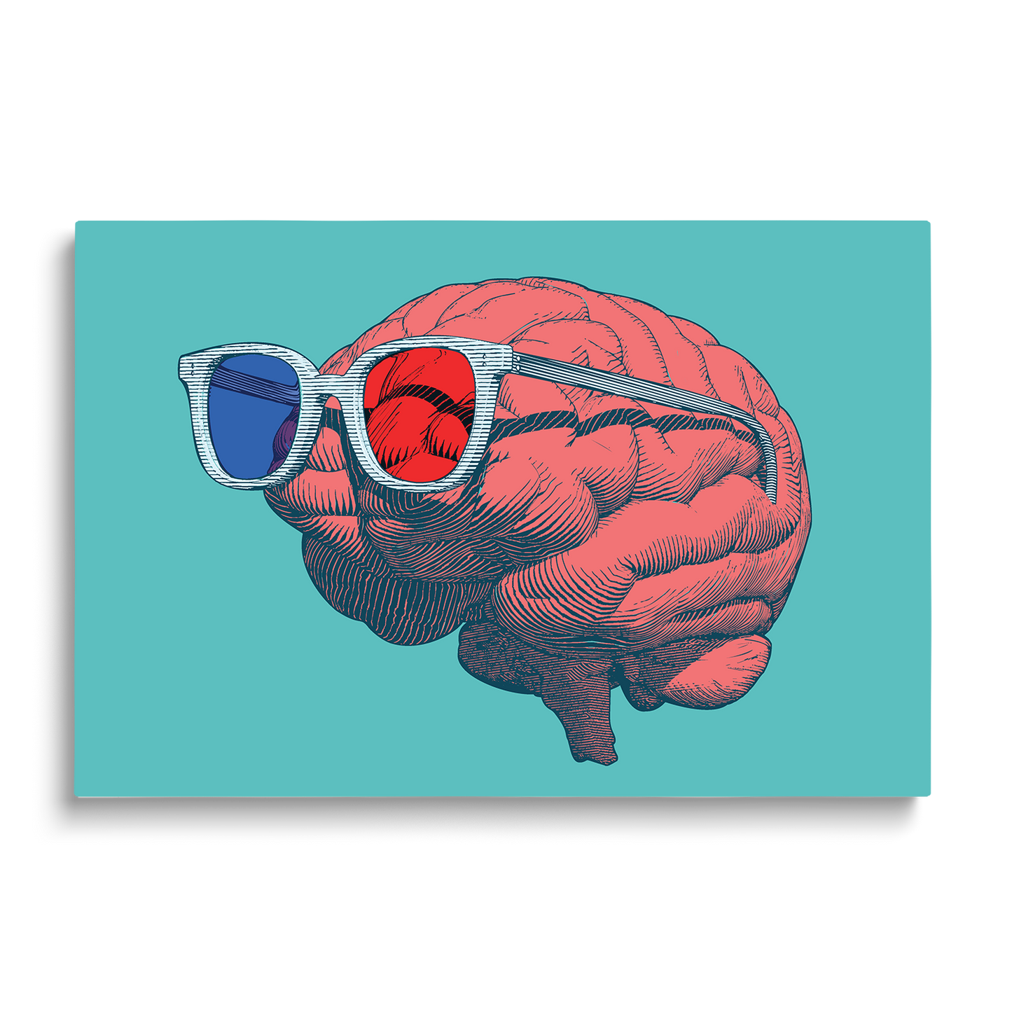 3D BRAIN