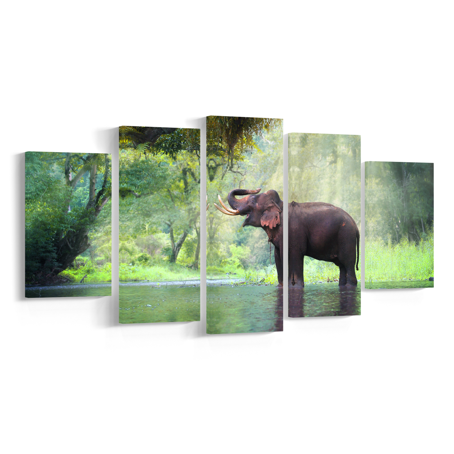 FREEDOM, Set 5 piese