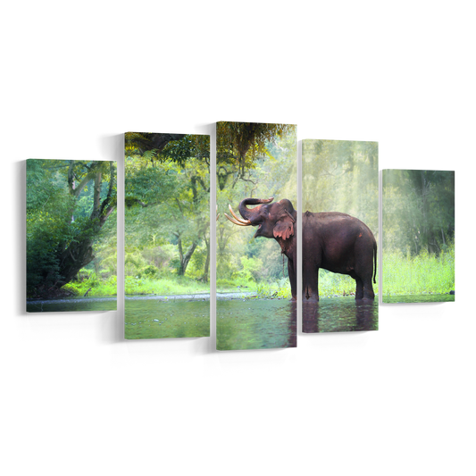 FREEDOM, Set 5 piese