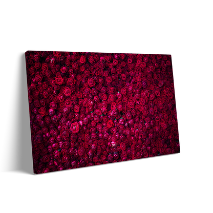 RED ROSES