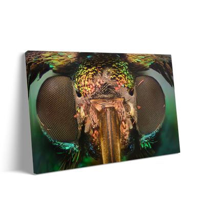 THE FLY 2