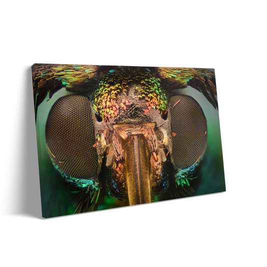 THE FLY 2