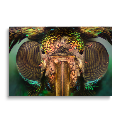 THE FLY 2